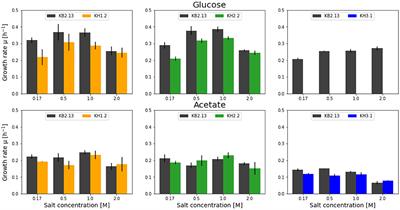 Metabolic engineering of Halomonas elongata: Ectoine secretion is increased by demand and supply driven approaches